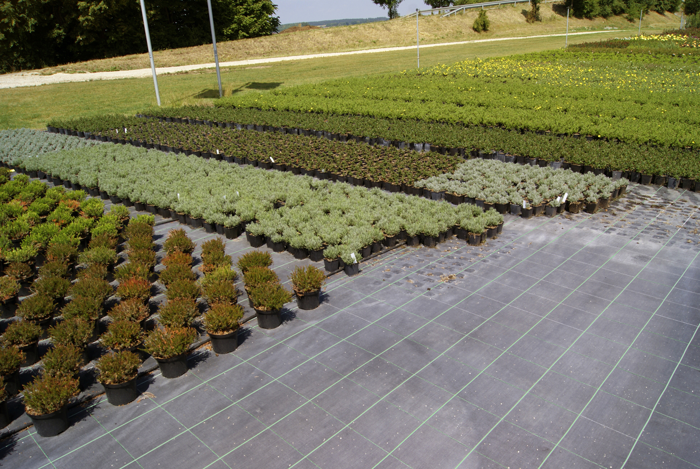 florinotex® Bodengewebe